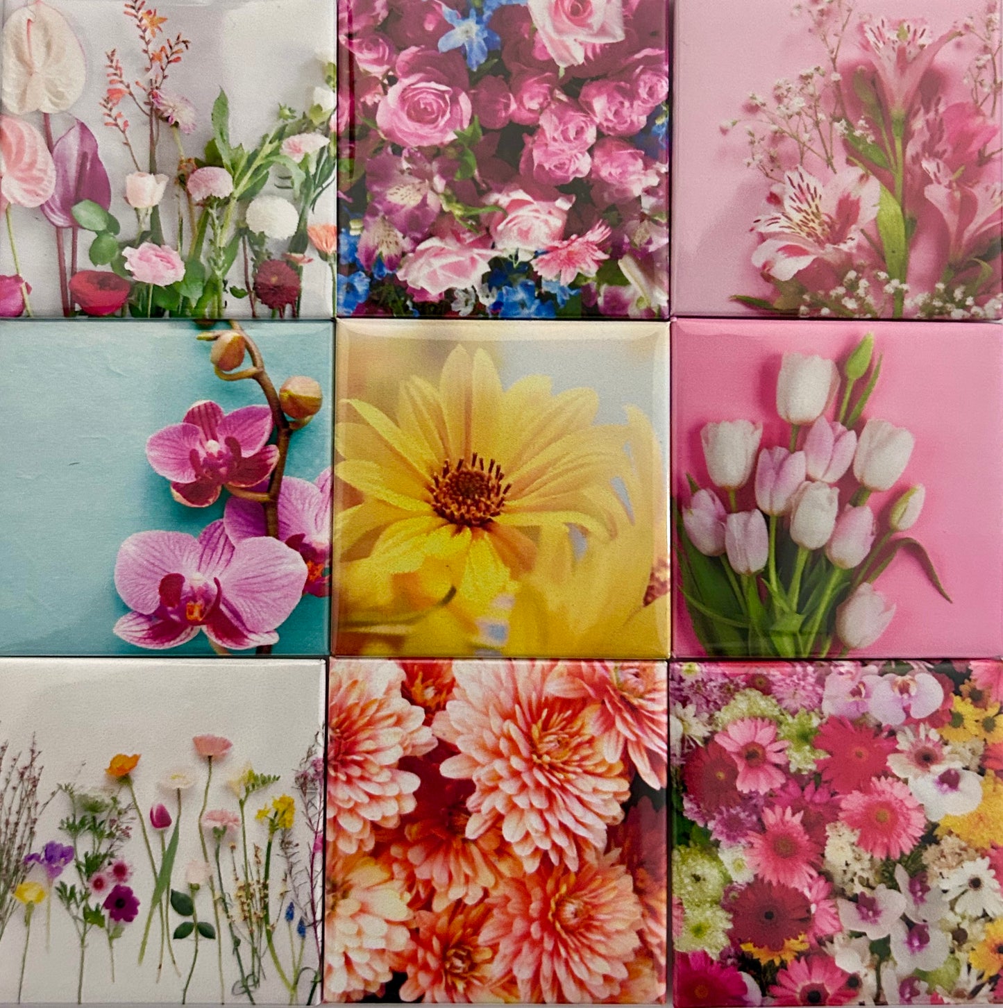 9 photo magnets 2'x2'