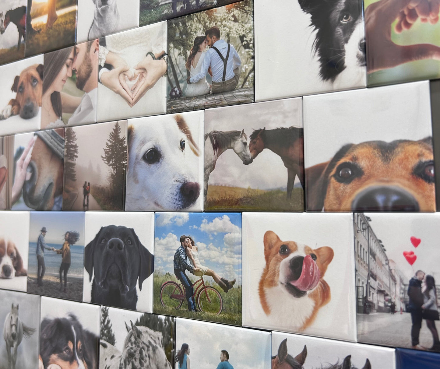 18 Photo Magnets 2'X2'